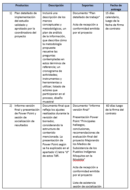 Consultoría Evaluación final Honduras