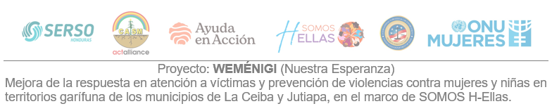 Consultoría Formulación desarrollo y ejecución de taller